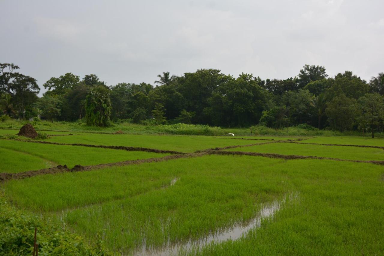 Monaara Leisure - Anuradhapura Kültér fotó
